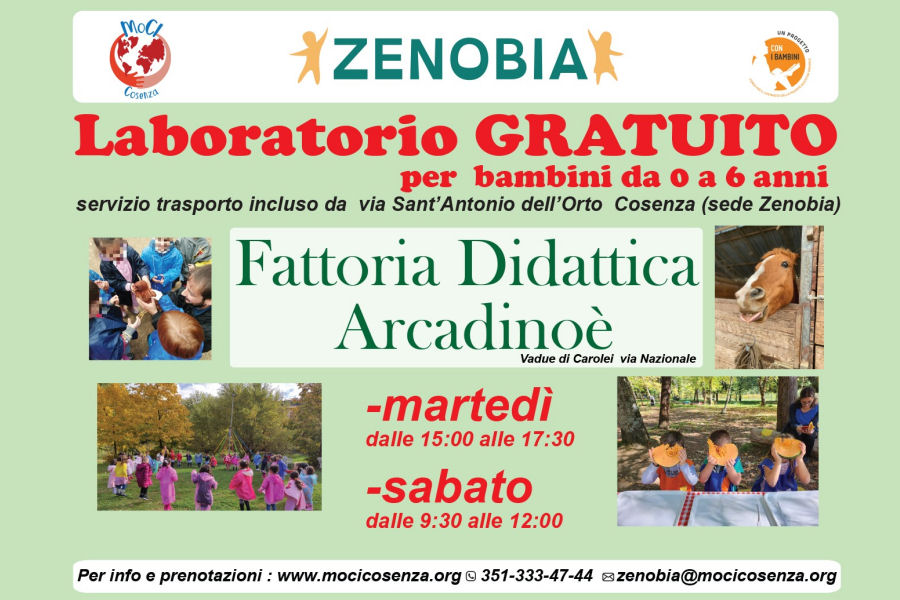 FATTORIA DIDATTICA ARCADINOE'