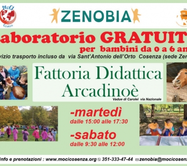 FATTORIA DIDATTICA ARCADINOE'